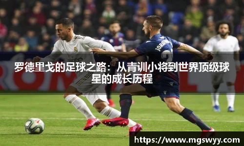 yy易游体育